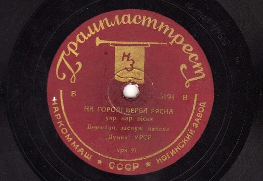 На городі верба рясна