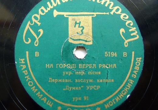 На городі верба рясна