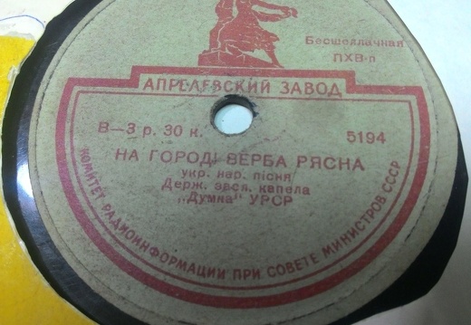 На городі верба рясна